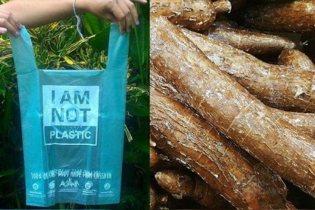 Bahan dan Alat untuk Membuat Plastik dari Singkong