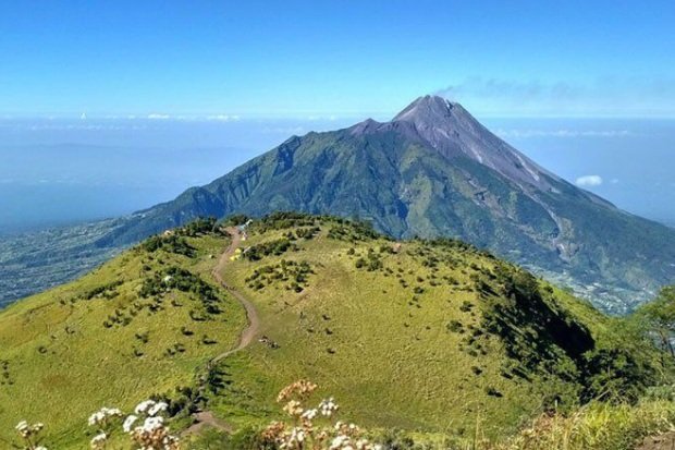 Keindahan Sabana yang Jadi Ikon Merbabu