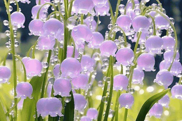 Cara Aman Menikmati Keindahannya