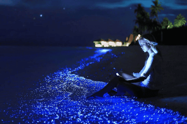 Mengenal Fenomena Sea of Stars