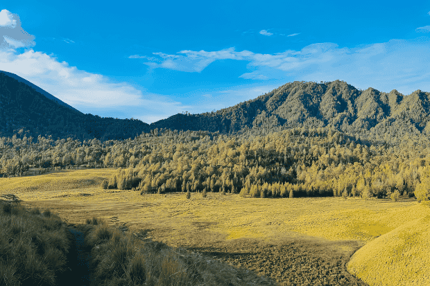 Pengalaman Mendaki Menuju Ranu Kumbolo