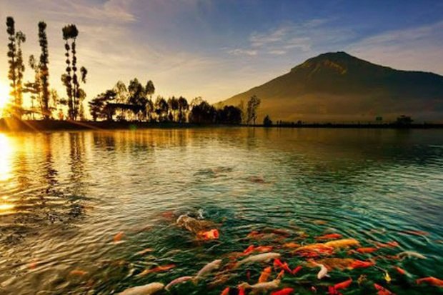 Sunrise Embung Kledung yang Selalu di Nanti