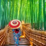 Bamboo Forest, Hutan Bambu Ikonik Jepang
