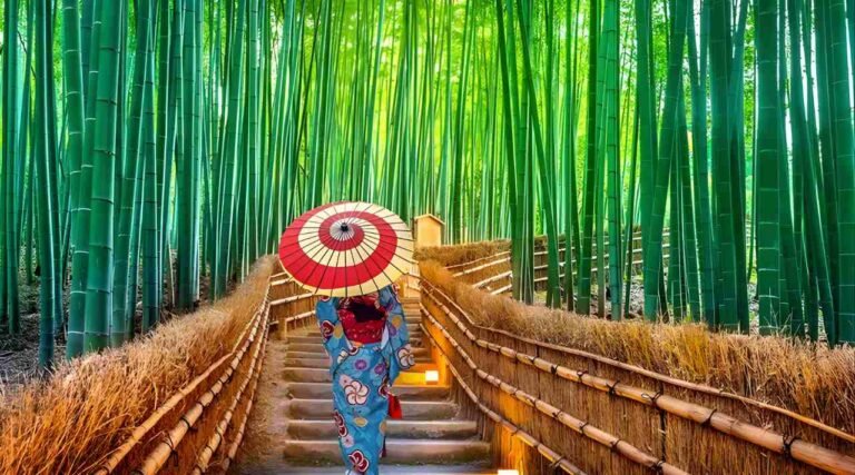 Bamboo Forest, Hutan Bambu Ikonik Jepang
