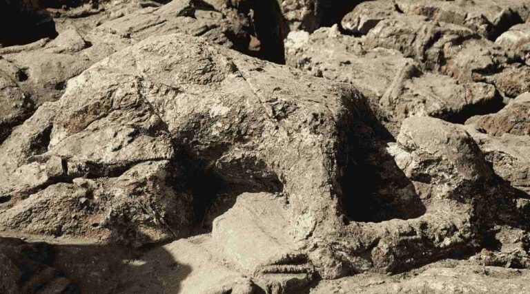 Batu Malin Kundang, Asli atau Sekadar Simbol Legenda?