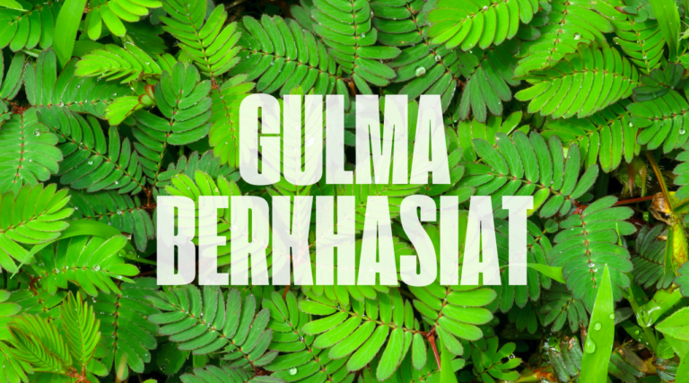 Mengenal Tanaman Liar yang Bisa Dimakan di Sekitar Kita