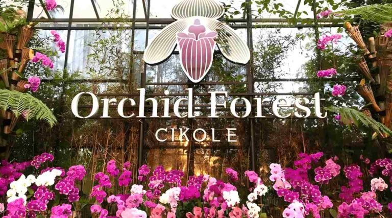 Orchid Forest Cikole, Wisata Alam Sejuk di Lembang
